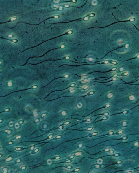 Thumbnail of www-instagram-com-p-dqn1dredqe8 6