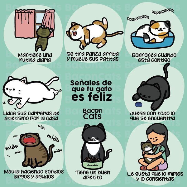 Thumbnail of p-cwwugyorql9-df507254961a442d 0