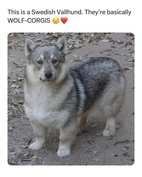 Thumbnail of p-dj5cz8jq2x-df51cae3797f465d 0