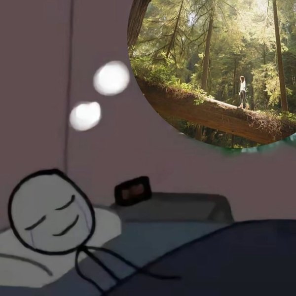 Thumbnail of p-dpughfscbqu-df540bcf9d3f4410 14