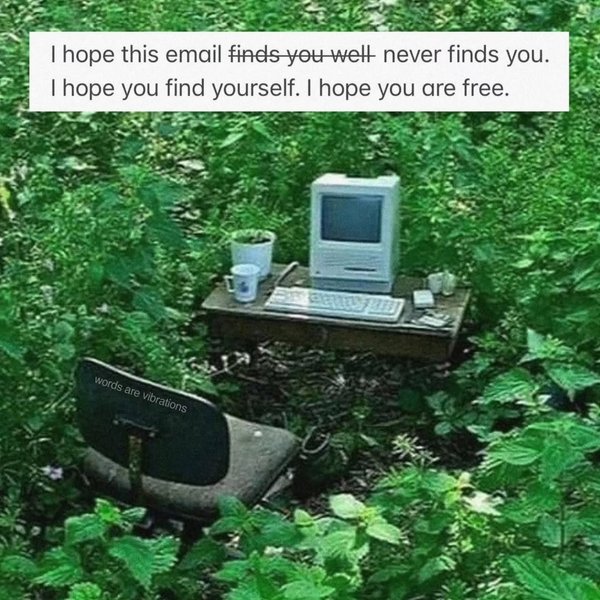 Thumbnail of p-dpughfscbqu-df540bcf9d3f4410 15