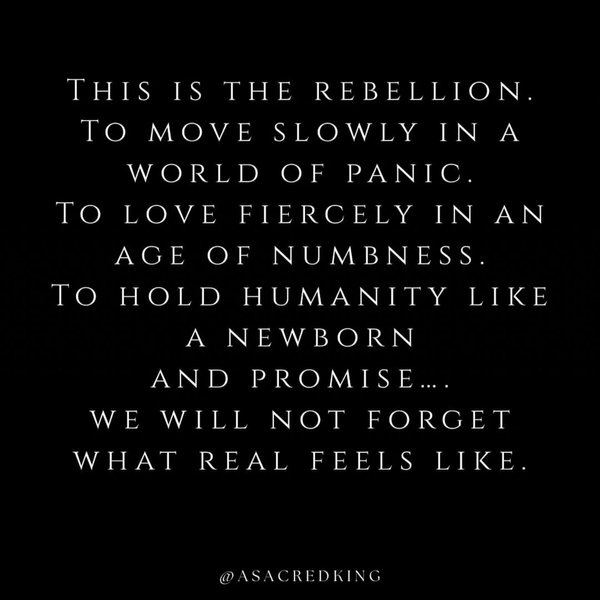 Thumbnail of p-dpughfscbqu-df540bcf9d3f4410 9