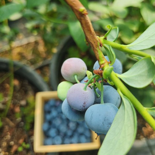 Thumbnail of djy1h-uixhq-df5cf2fb98144a04 0