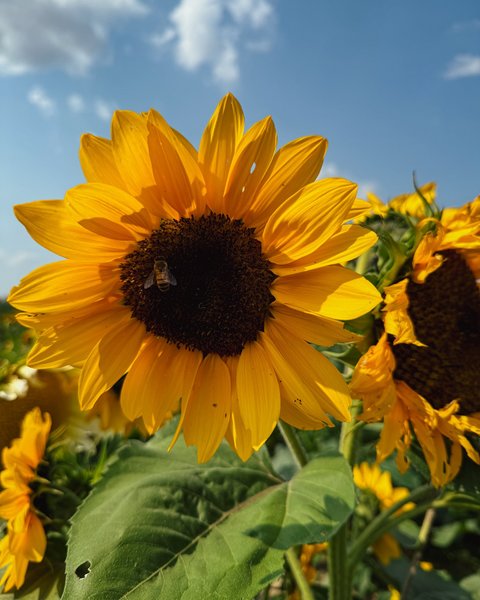 Thumbnail of c-i7paupo1g-df72ee22f08b468a 2