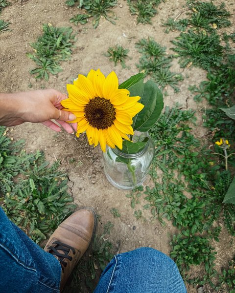 Thumbnail of c-i7paupo1g-df72ee22f08b468a 3