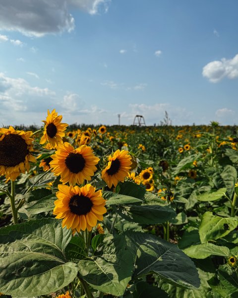 Thumbnail of c-i7paupo1g-df72ee22f08b468a 4