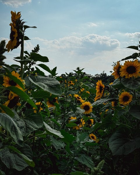 Thumbnail of c-i7paupo1g-df72ee22f08b468a 5