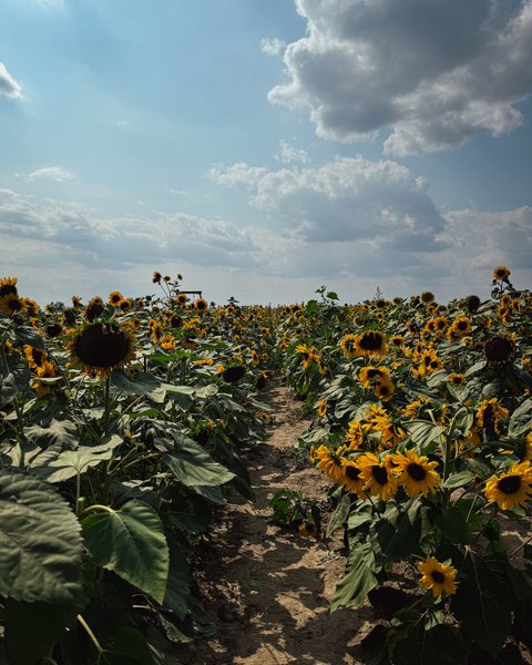 Thumbnail of c-i7paupo1g-df72ee22f08b468a 6