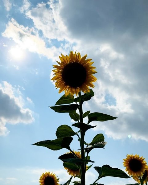 Thumbnail of c-i7paupo1g-df72ee22f08b468a 7