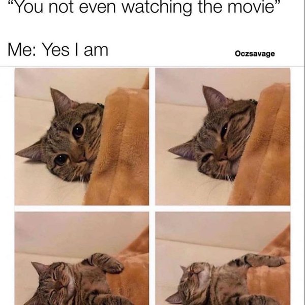 Thumbnail of p-b9j5ftkno7h-df86304ed1a94cd1 6