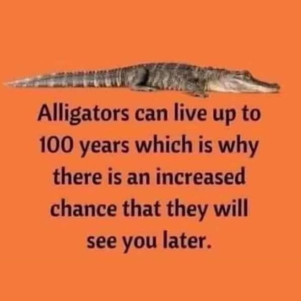 Thumbnail of p-c0zun0iompv-e00ee9d995724a3a 0