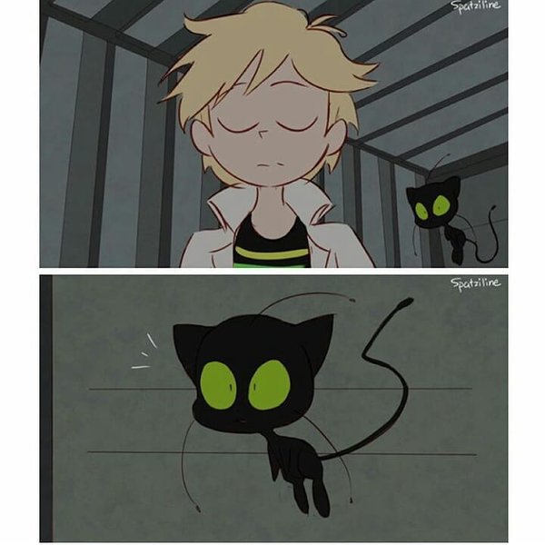 Thumbnail of p-bnbcloah6uu-e01a6ed748a84f2d 0