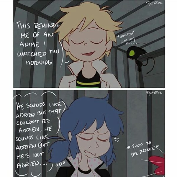 Thumbnail of p-bnbcloah6uu-e01a6ed748a84f2d 2