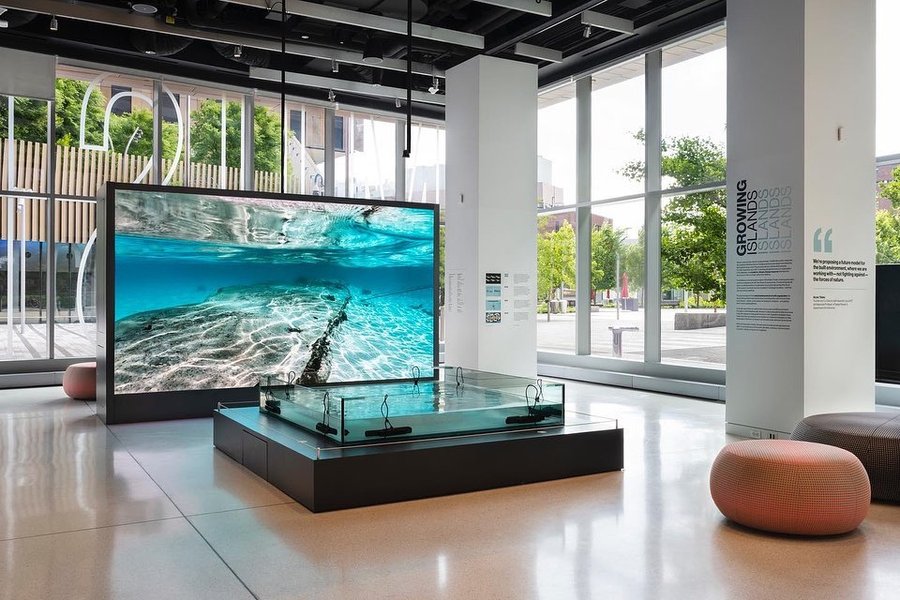 Thumbnail of p-ct6estorgf1-e03702052c244a6e 0