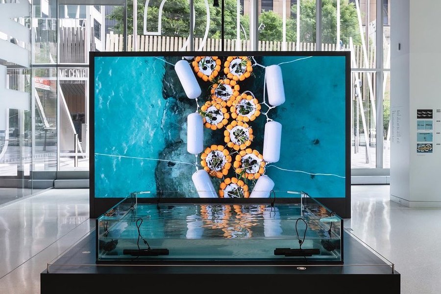 Thumbnail of p-ct6estorgf1-e03702052c244a6e 3