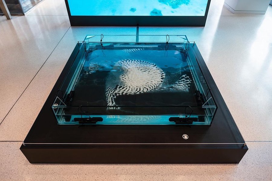 Thumbnail of p-ct6estorgf1-e03702052c244a6e 6