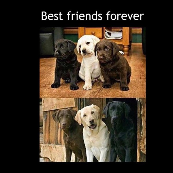 Thumbnail of p-bmnexntfrxr-e03e3c51e9cd4abd 0