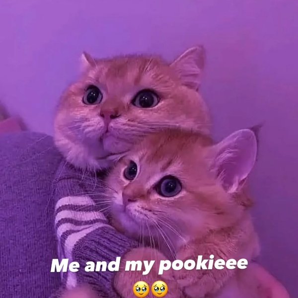 Thumbnail of p-c97u8ymbgyk-e0533e78d19944a4 0