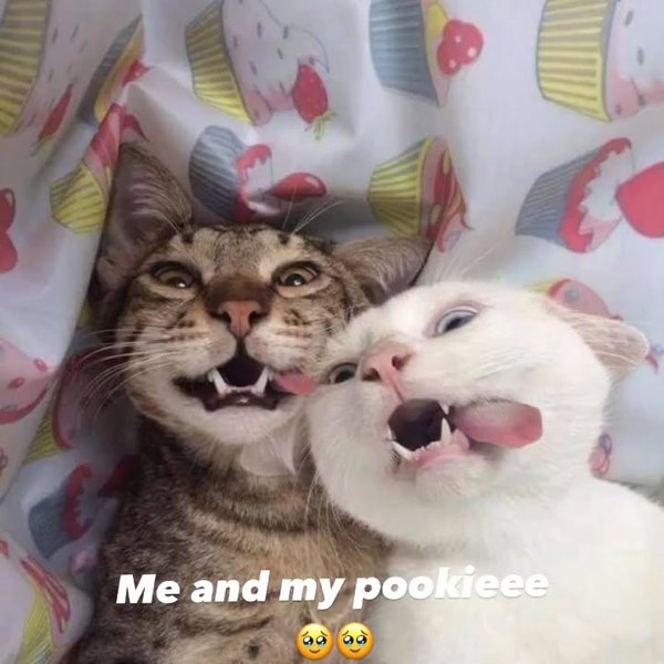 Thumbnail of p-c97u8ymbgyk-e0533e78d19944a4 1