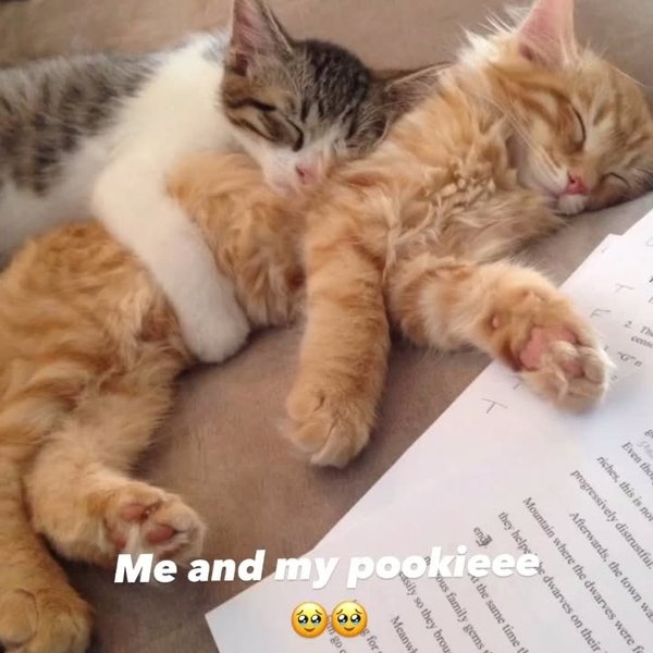 Thumbnail of p-c97u8ymbgyk-e0533e78d19944a4 2