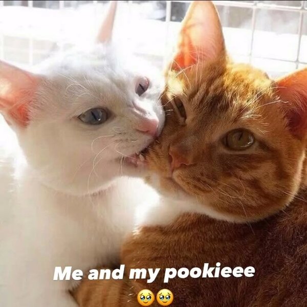 Thumbnail of p-c97u8ymbgyk-e0533e78d19944a4 3