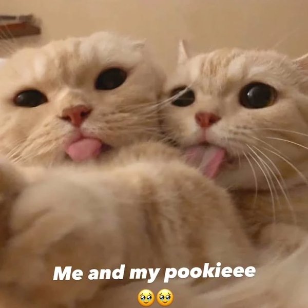 Thumbnail of p-c97u8ymbgyk-e0533e78d19944a4 4