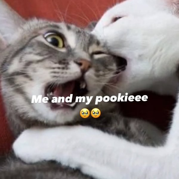 Thumbnail of p-c97u8ymbgyk-e0533e78d19944a4 5