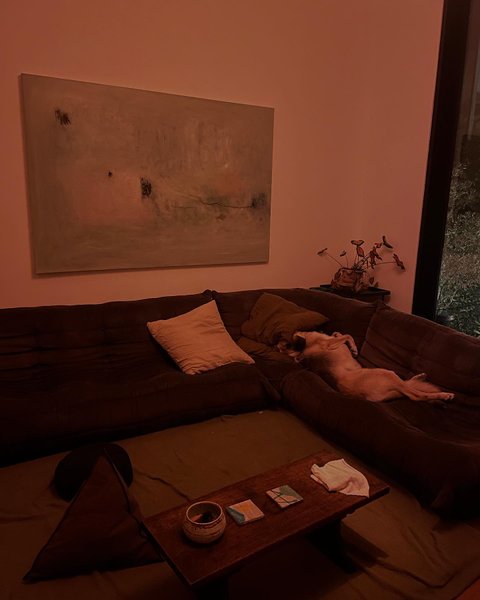 Thumbnail of p-cwzj477ovjj-e083b3d779ef4b29 4