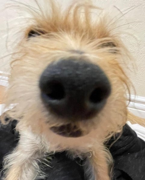 Thumbnail of p-cvl8v4zfcui-e0a78ff01c2044da 6