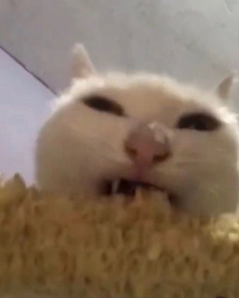 Thumbnail of p-cvl8v4zfcui-e0a78ff01c2044da 7