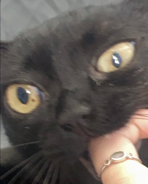 Thumbnail of p-cvl8v4zfcui-e0a78ff01c2044da 8