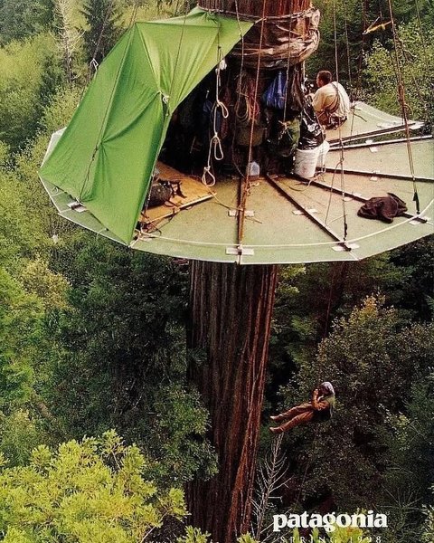 Thumbnail of dm2dz-oicvb-e0b12df1973c4d60 3