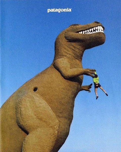 Thumbnail of dm2dz-oicvb-e0b12df1973c4d60 6