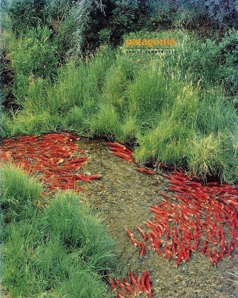 Thumbnail of dm2dz-oicvb-e0b12df1973c4d60 7