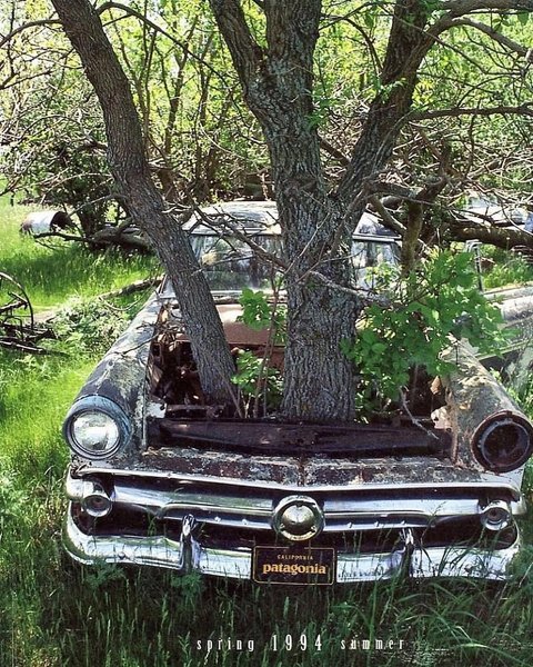 Thumbnail of dm2dz-oicvb-e0b12df1973c4d60 8