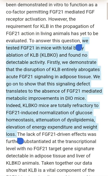 Thumbnail of www-x-com-metabolicmonstr-status-1926572638551355765-e0b41a85401043f6