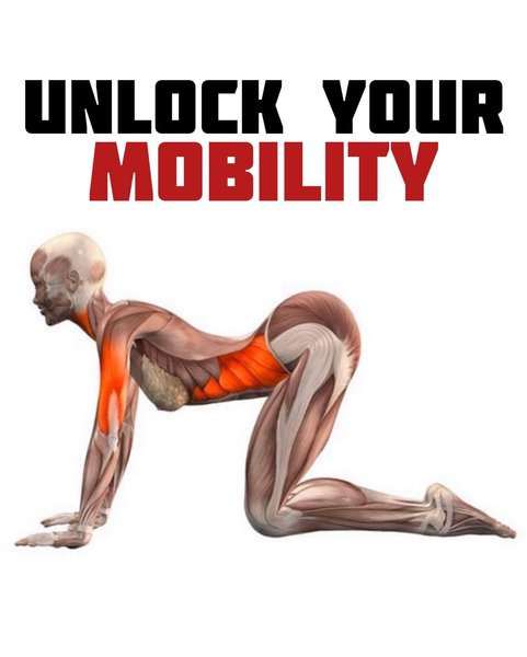 Thumbnail of p-czuoj4mrnyn-e0bc20d2eb6e43c4 0