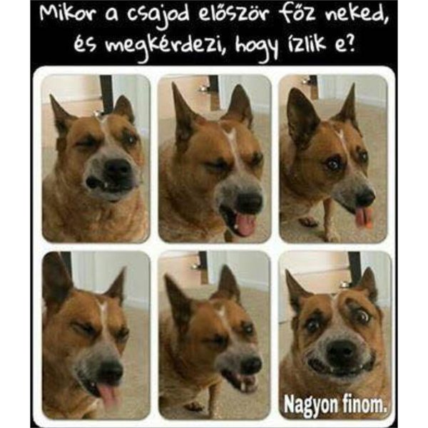 Thumbnail of p-bqkg2odaxzv-e0c5005fecbd4411 1