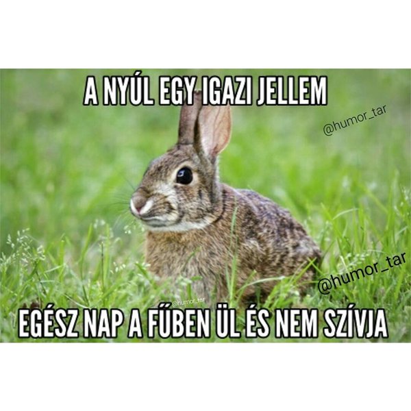 Thumbnail of p-bqkg2odaxzv-e0c5005fecbd4411 2