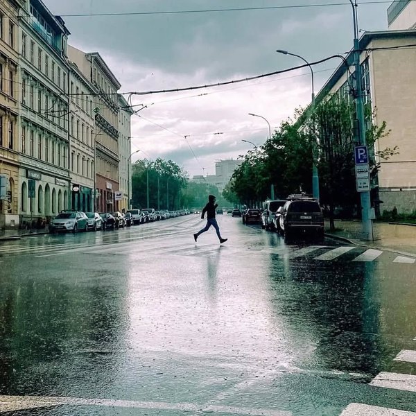 Thumbnail of p-cl6roxgsecq-e0d878733b164db6 2