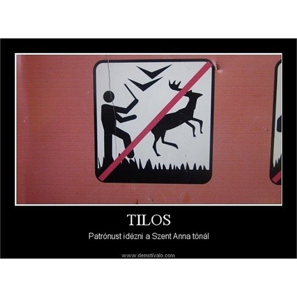 Thumbnail of p-bq2jjwegvel-e130a9df5eb541fd 2