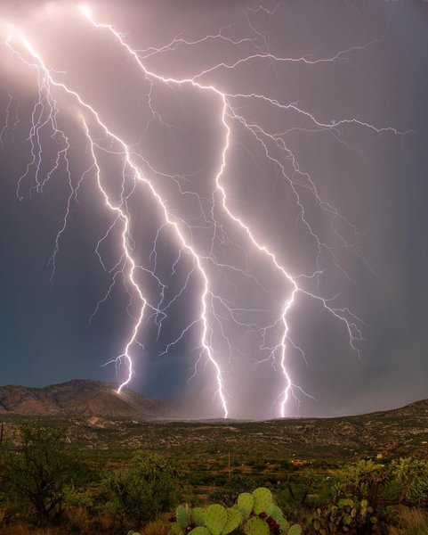 Thumbnail of cwb72lhl-nu-e1419bdbac6148c5 0