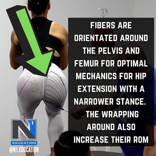 Thumbnail of p-cfbxxu1ubxw-e1529324207c400f 1