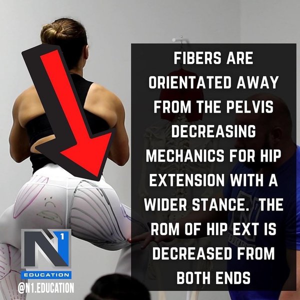 Thumbnail of p-cfbxxu1ubxw-e1529324207c400f 2