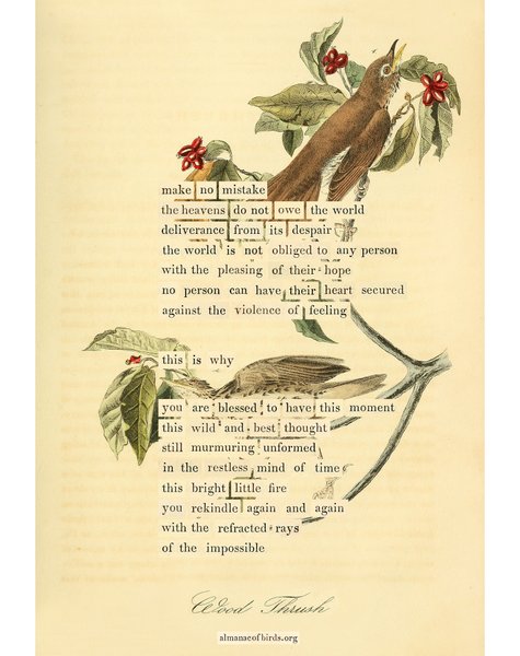 Thumbnail of p-deawnrqxrg0-e1610448457546a2 0