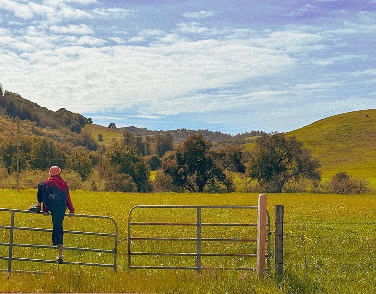 Thumbnail of p-cvbr6nvrv0j-e16c6651b5f34a80 0