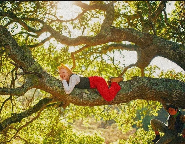 Thumbnail of p-cvbr6nvrv0j-e16c6651b5f34a80 2