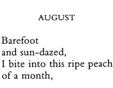 Thumbnail of p-cvbr6nvrv0j-e16c6651b5f34a80 9