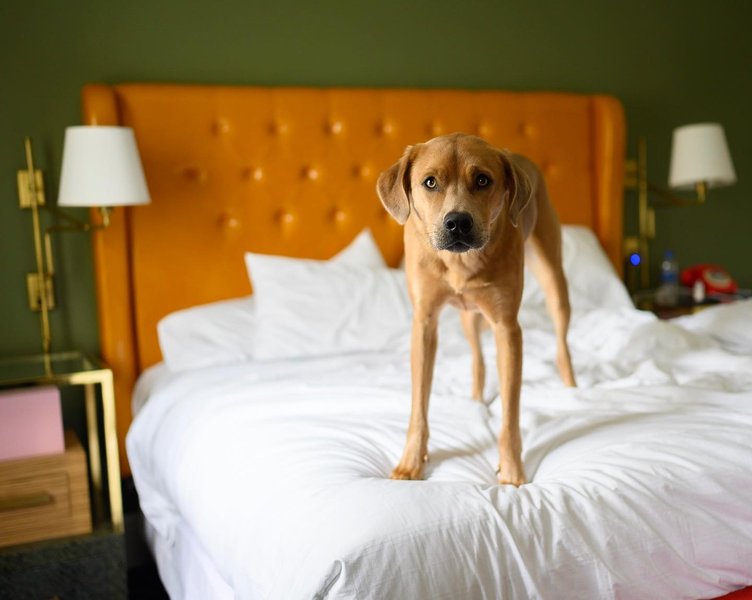 Thumbnail of p-b2cr4uqhgrt-e179437c24344d6c 0