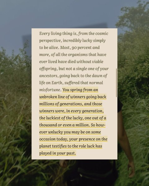 Thumbnail of p-dhwtoblytnh-e187f2670d574d6d 6